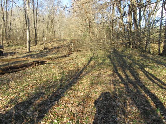3 Sandy Springs Road Cedar Hill, TN 37032 - Photo 6 of 14 a view of a yard with trees
