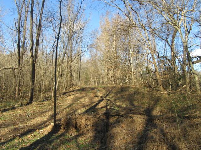 3 Sandy Springs Road Cedar Hill, TN 37032 - Photo 7 of 14 a view of yard