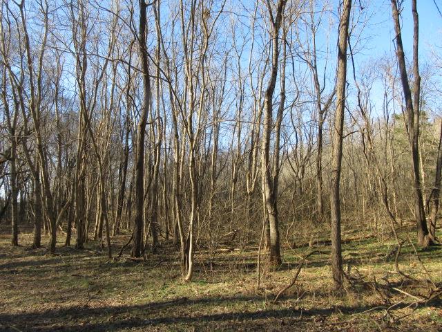 3 Sandy Springs Road Cedar Hill, TN 37032 - Photo 8 of 14 a view of a backyard