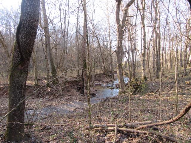 3 Sandy Springs Road Cedar Hill, TN 37032 - Photo 9 of 14 a view of a yard with large trees