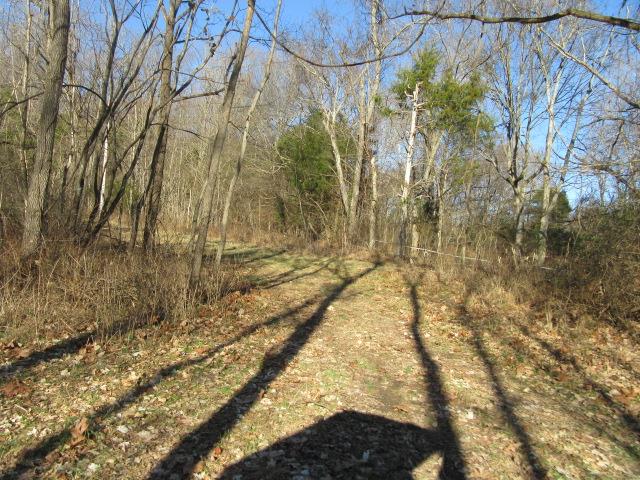 3 Sandy Springs Road Cedar Hill, TN 37032 - Photo 10 of 14 a view of yard with trees