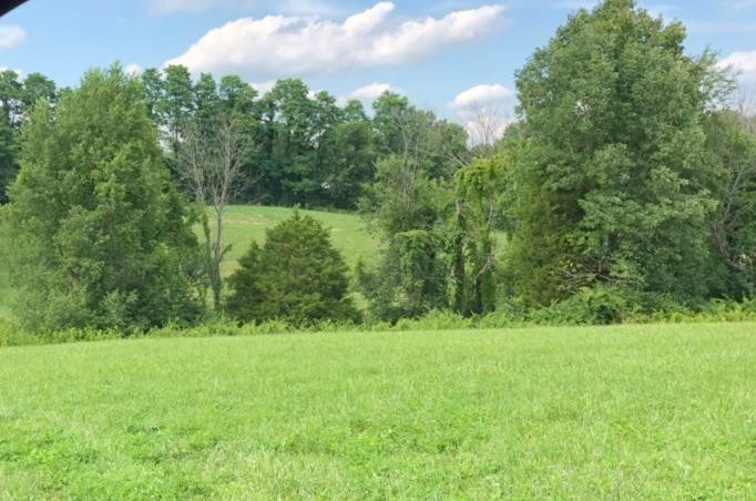 4865 Ironworks Road Winchester, KY 40391 - Photo 10 of 39 Photo taken 6/18