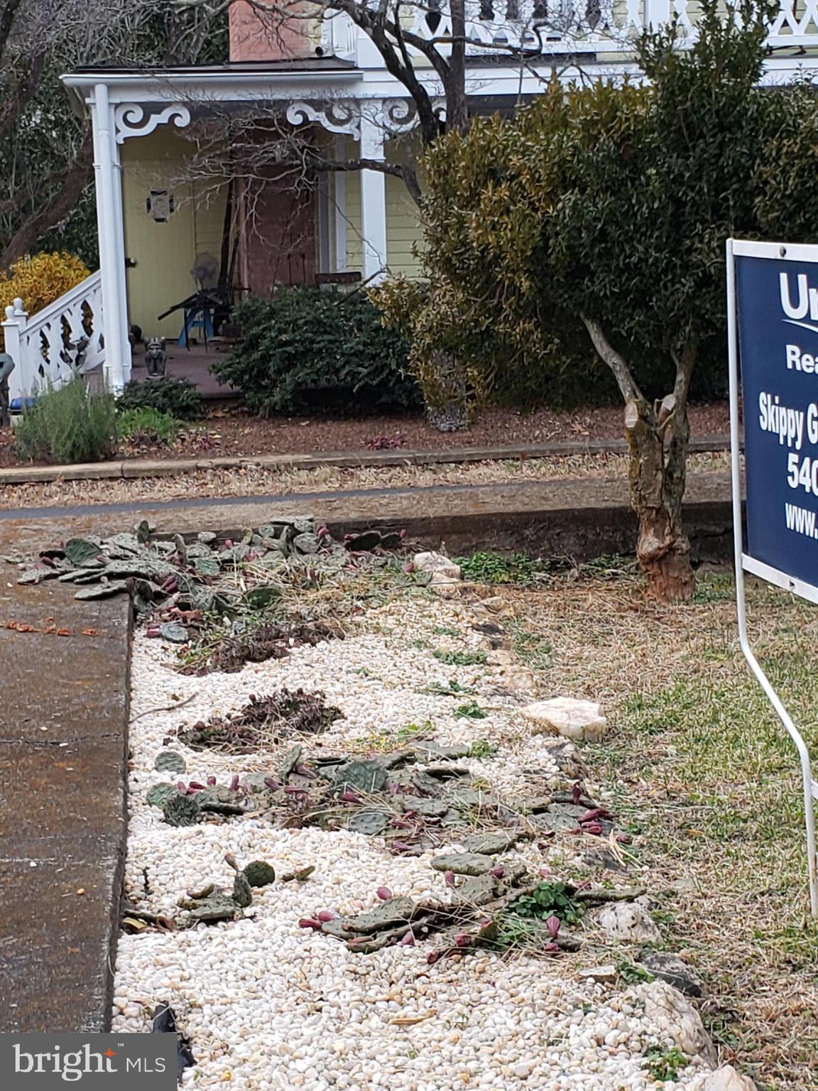 309 Wheeler Street Washington, VA 22747 - Photo 8 of 12 Cactus garden out front.