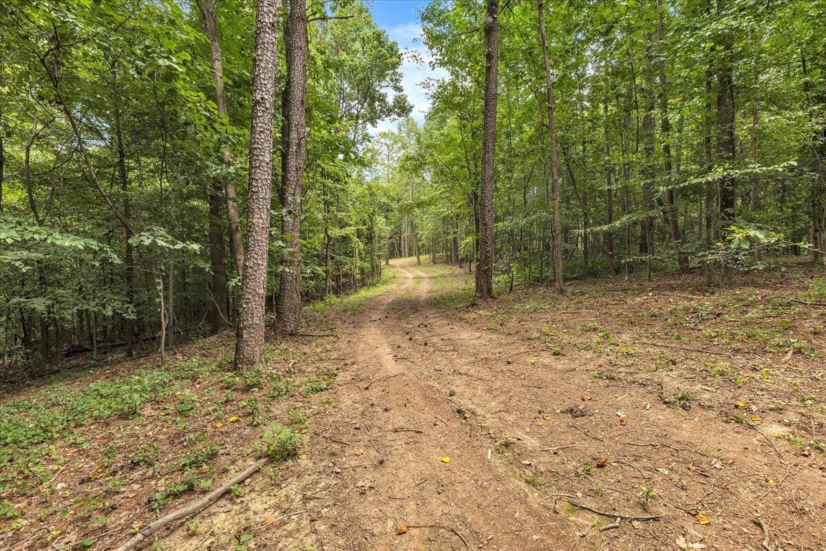 76 Meers Road Northwest Dalton, GA 30721 - Photo 21 of 49 Gallery Image 21
