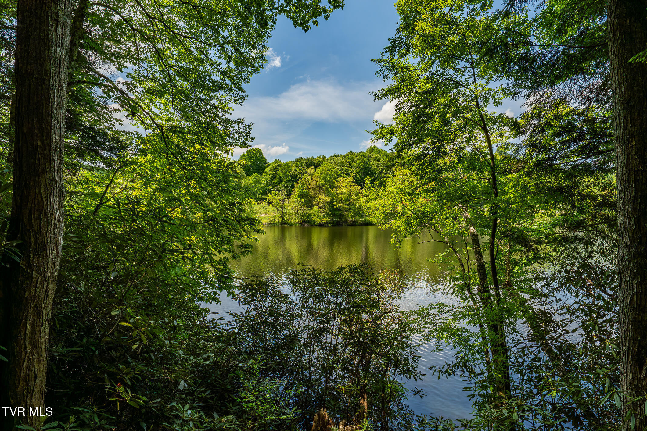 170 Ripshin Lake Road Roan Mountain, TN 37687 - Photo 54 of 64 170 Ripshin Lake Rd (25 of 73)