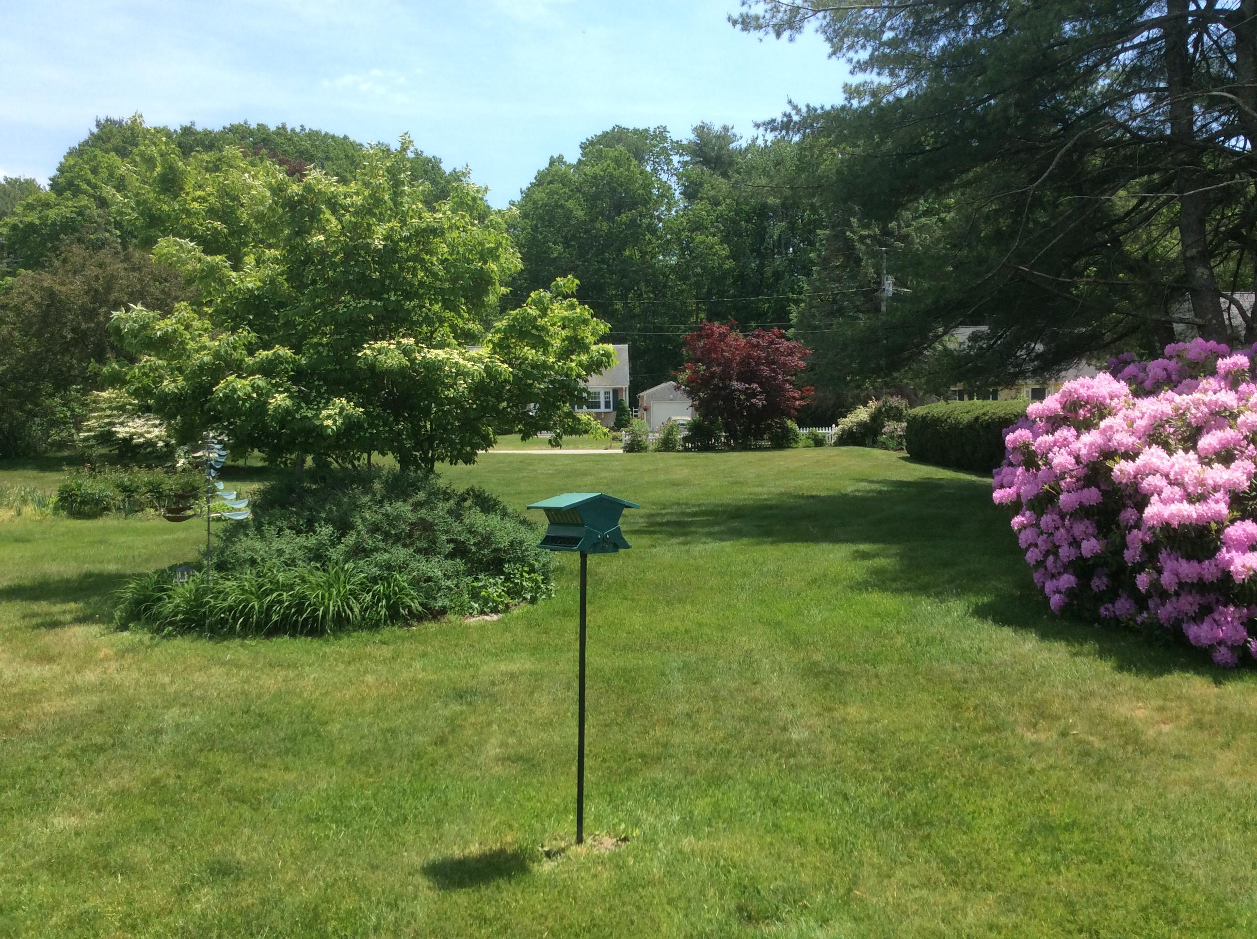 10 Oceanview Road Kennebunk, ME 04043 - Photo 30 of 32 Back yard photo (1)