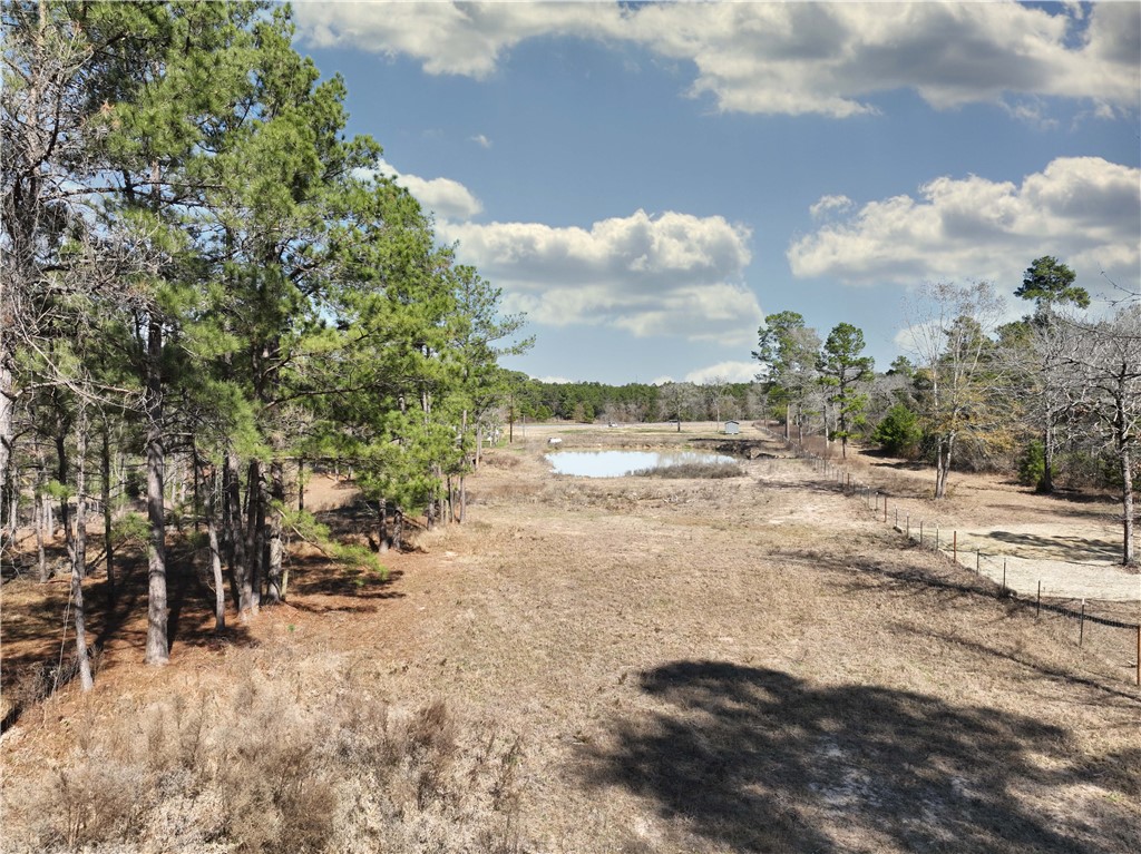 12082 State Highway 30 Anderson, TX 77830 - Photo 15 of 25 a view of ocean view with beach
