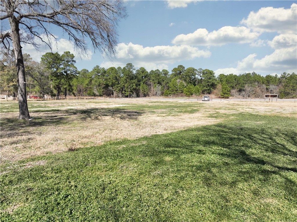 12082 State Highway 30 Anderson, TX 77830 - Photo 20 of 25 a view of an ocean from a yard