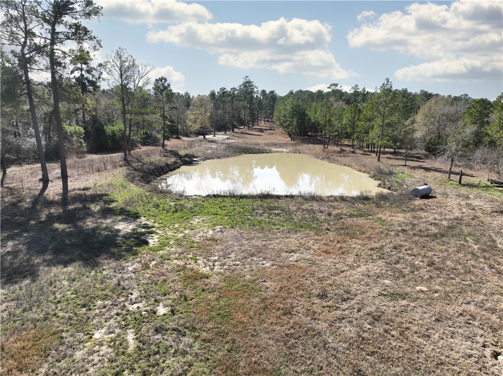 12082 State Highway 30 Anderson, TX 77830 - Photo 6 of 25 a view of a swimming pool with a yard
