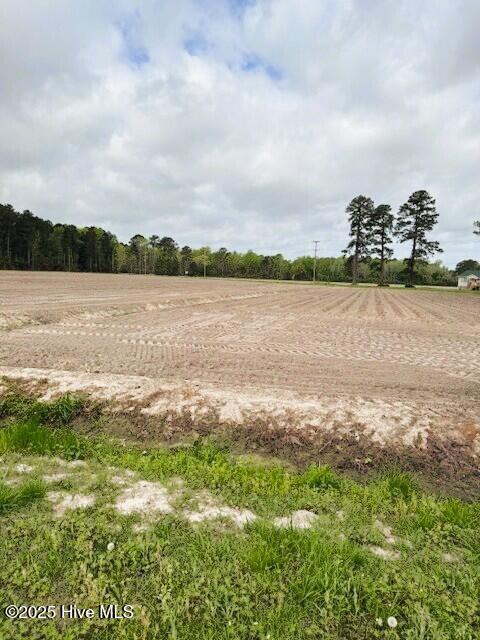 0 Seawell Loop Road Bayboro, NC 28515 - Photo 11 of 18 land2