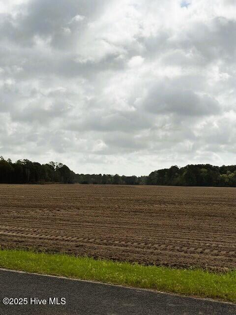 0 Seawell Loop Road Bayboro, NC 28515 - Photo 12 of 18 land3