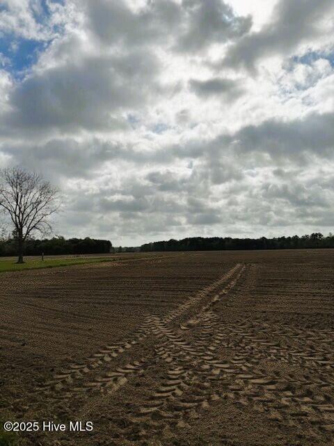 0 Seawell Loop Road Bayboro, NC 28515 - Photo 13 of 18 land4