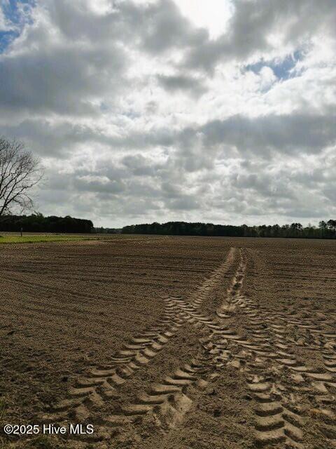 0 Seawell Loop Road Bayboro, NC 28515 - Photo 14 of 18 land5