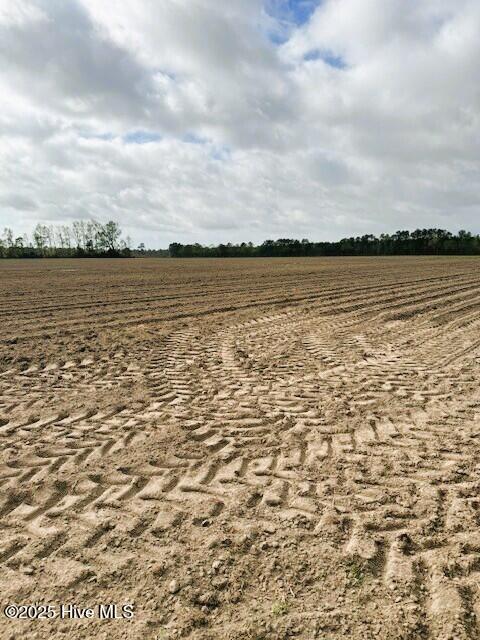 0 Seawell Loop Road Bayboro, NC 28515 - Photo 15 of 18 land6