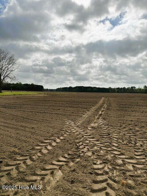0 Seawell Loop Road Bayboro, NC 28515 - Photo 16 of 18 land7