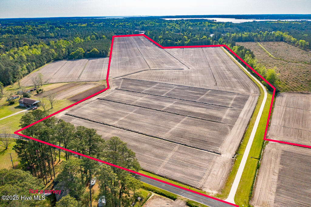 0 Seawell Loop Road Bayboro, NC 28515 - Photo 5 of 18 DJI_0887-Edit