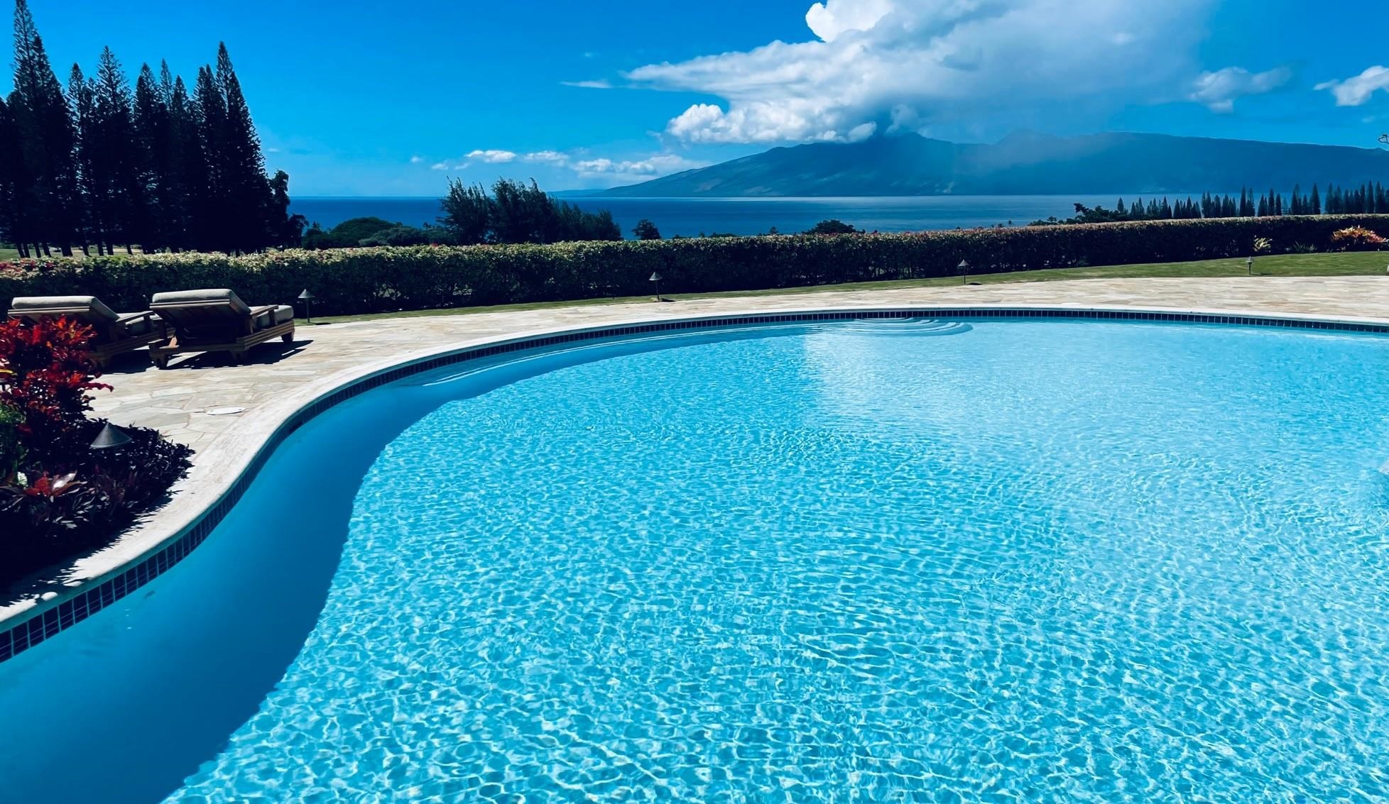 1216 Summer Road Lahaina, HI 96761 - Photo 5 of 26 a view of a swimming pool with an outdoor seating and a garden