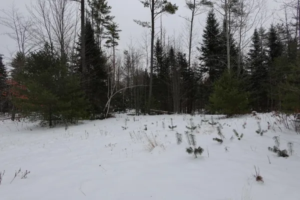 $90,000 | 12-013-01 Bert Berry Road, Embden, ME 04958