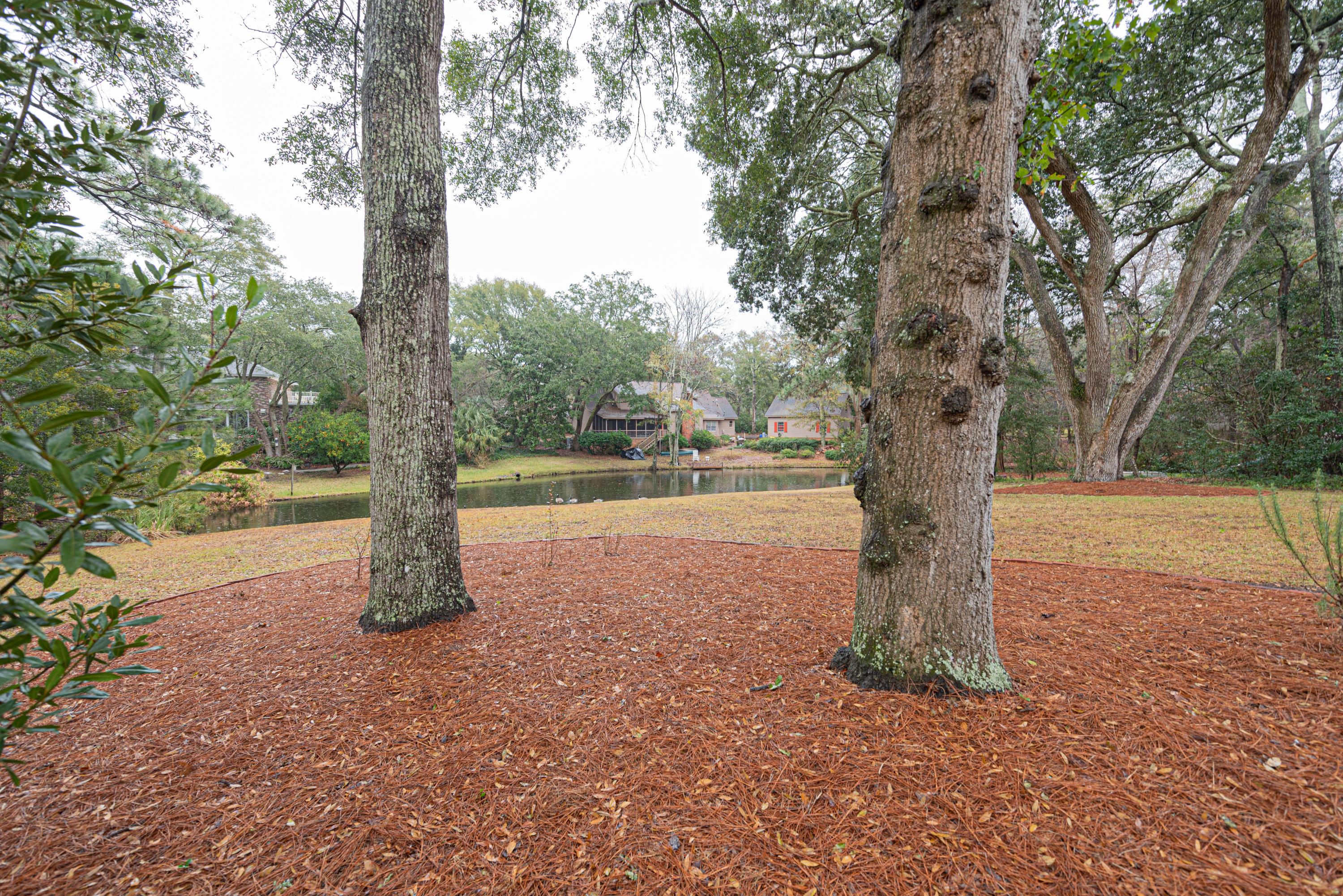 746 Willow Lake Road Charleston, SC 29412 - Photo 29 of 31 Huge yard