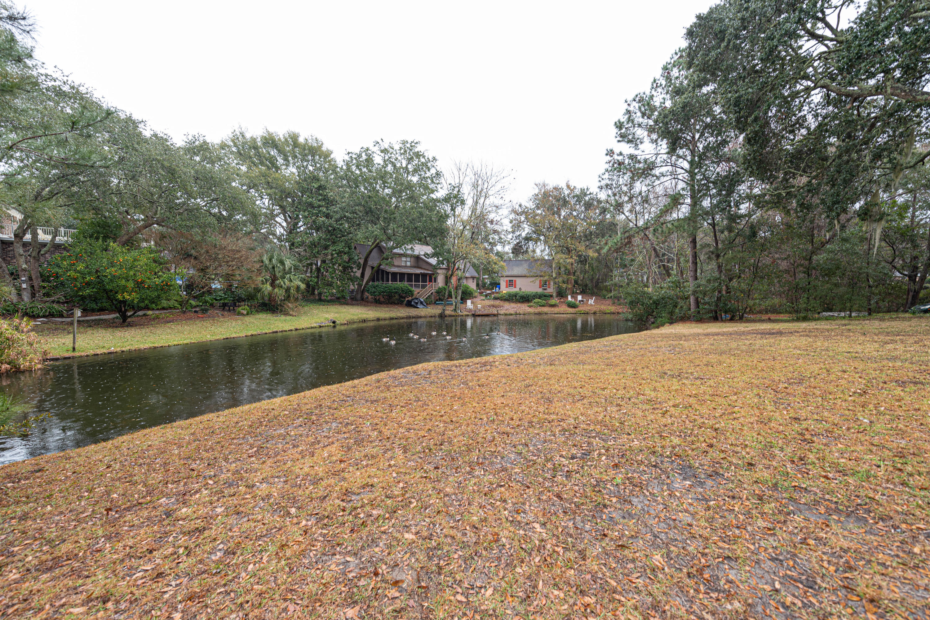 746 Willow Lake Road Charleston, SC 29412 - Photo 31 of 31 Pond view
