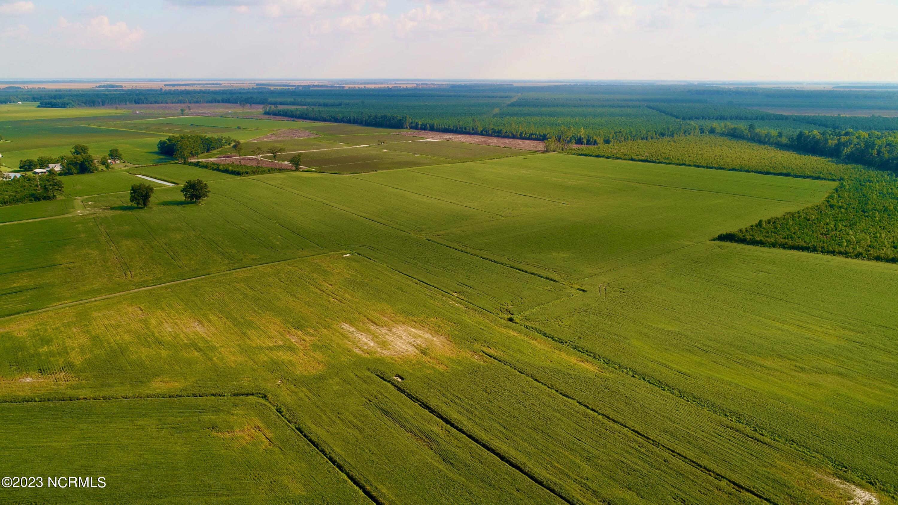 2334 West Millpond Road Roper, NC 27970 - Photo 14 of 52 DJI_0679