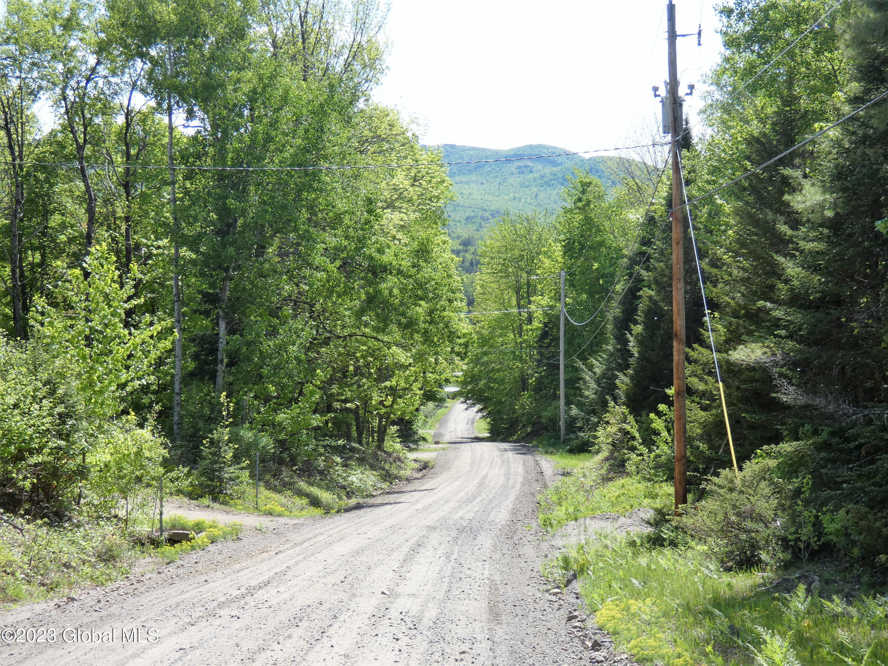 L40 Barney Hill Road Johnsburg, NY 12843 - Photo 2 of 9 P1020486