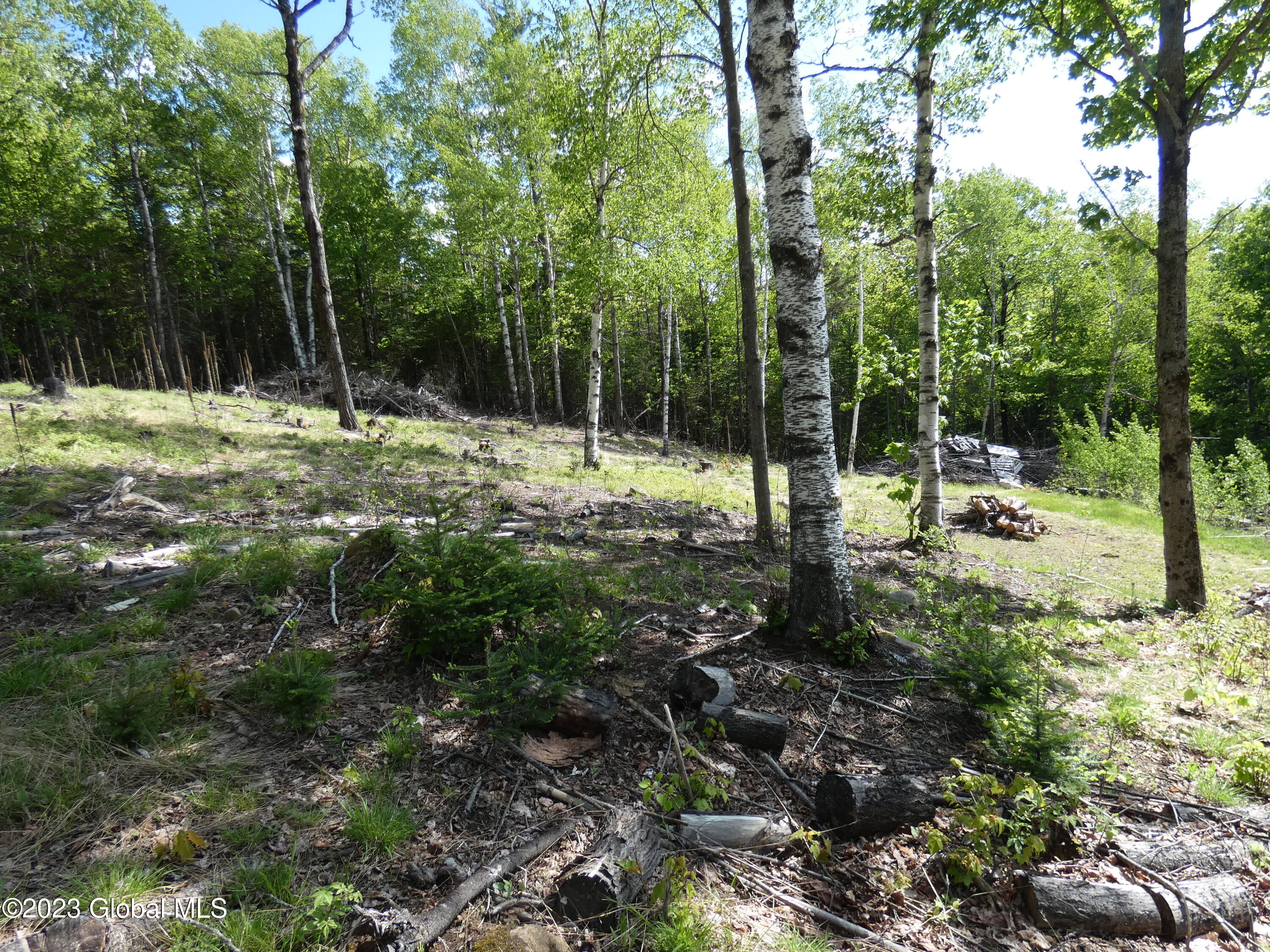 L40 Barney Hill Road Johnsburg, NY 12843 - Photo 3 of 9 P1020497