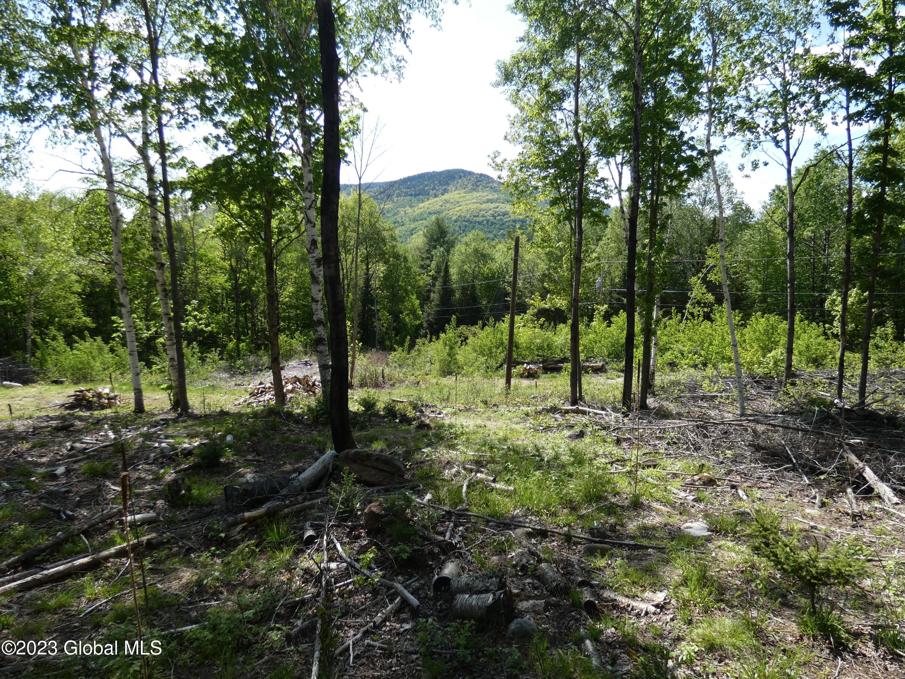 L40 Barney Hill Road Johnsburg, NY 12843 - Photo 4 of 9 P1020493