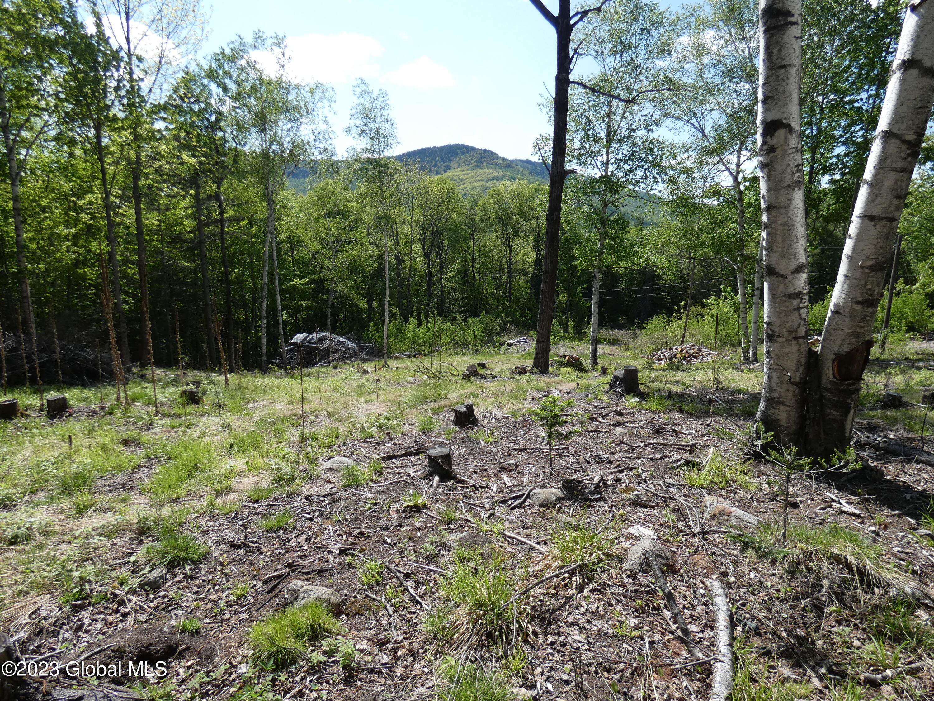 L40 Barney Hill Road Johnsburg, NY 12843 - Photo 5 of 9 P1020496