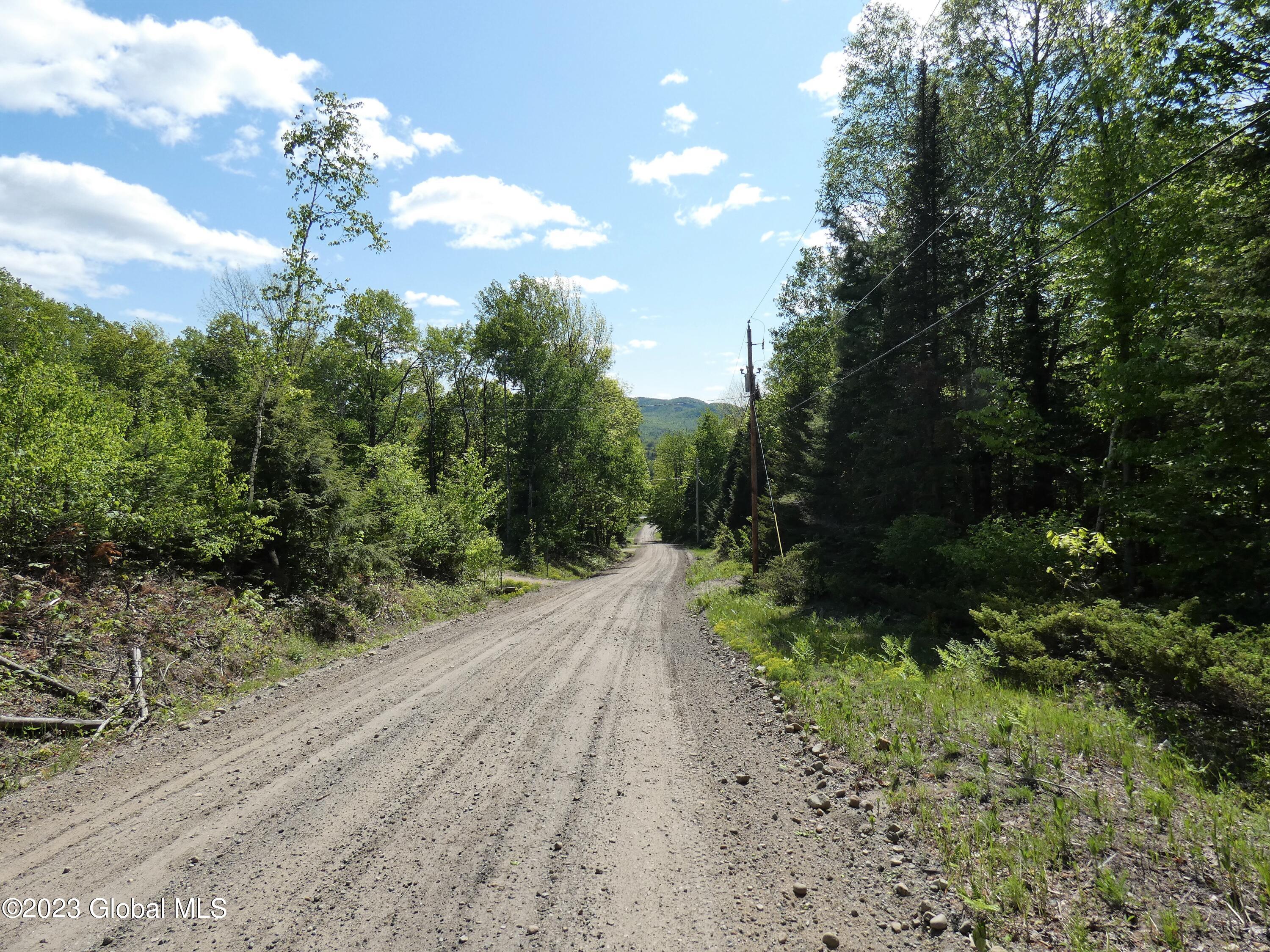 L40 Barney Hill Road Johnsburg, NY 12843 - Photo 6 of 9 P1020485