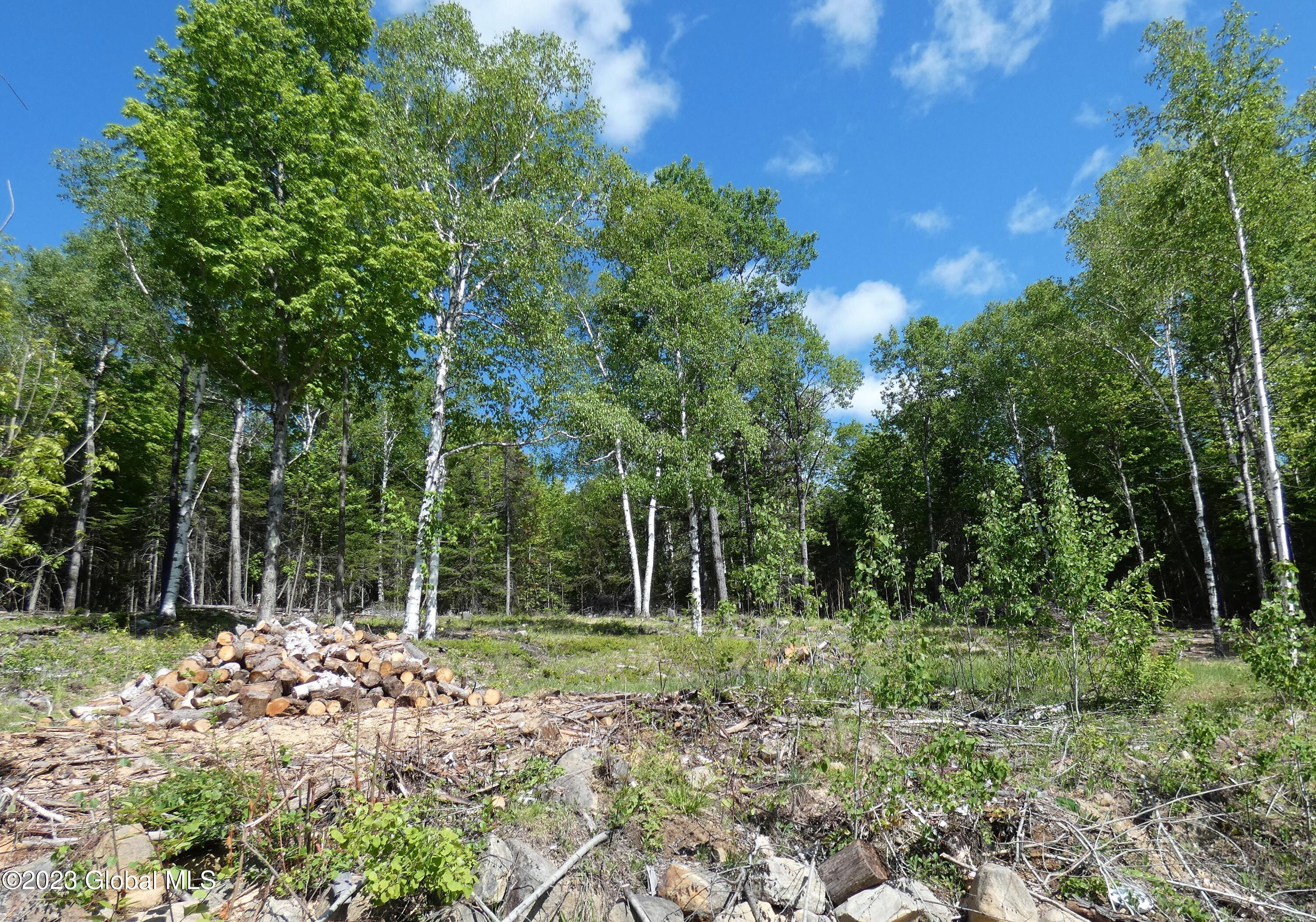 L40 Barney Hill Road Johnsburg, NY 12843 - Photo 7 of 9 P1020488