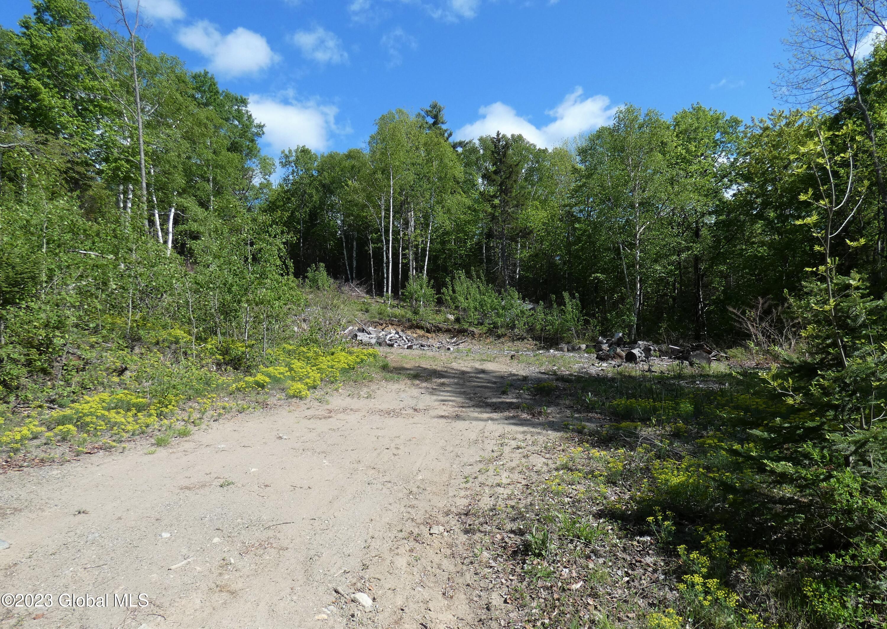 L40 Barney Hill Road Johnsburg, NY 12843 - Photo 8 of 9 P1020487