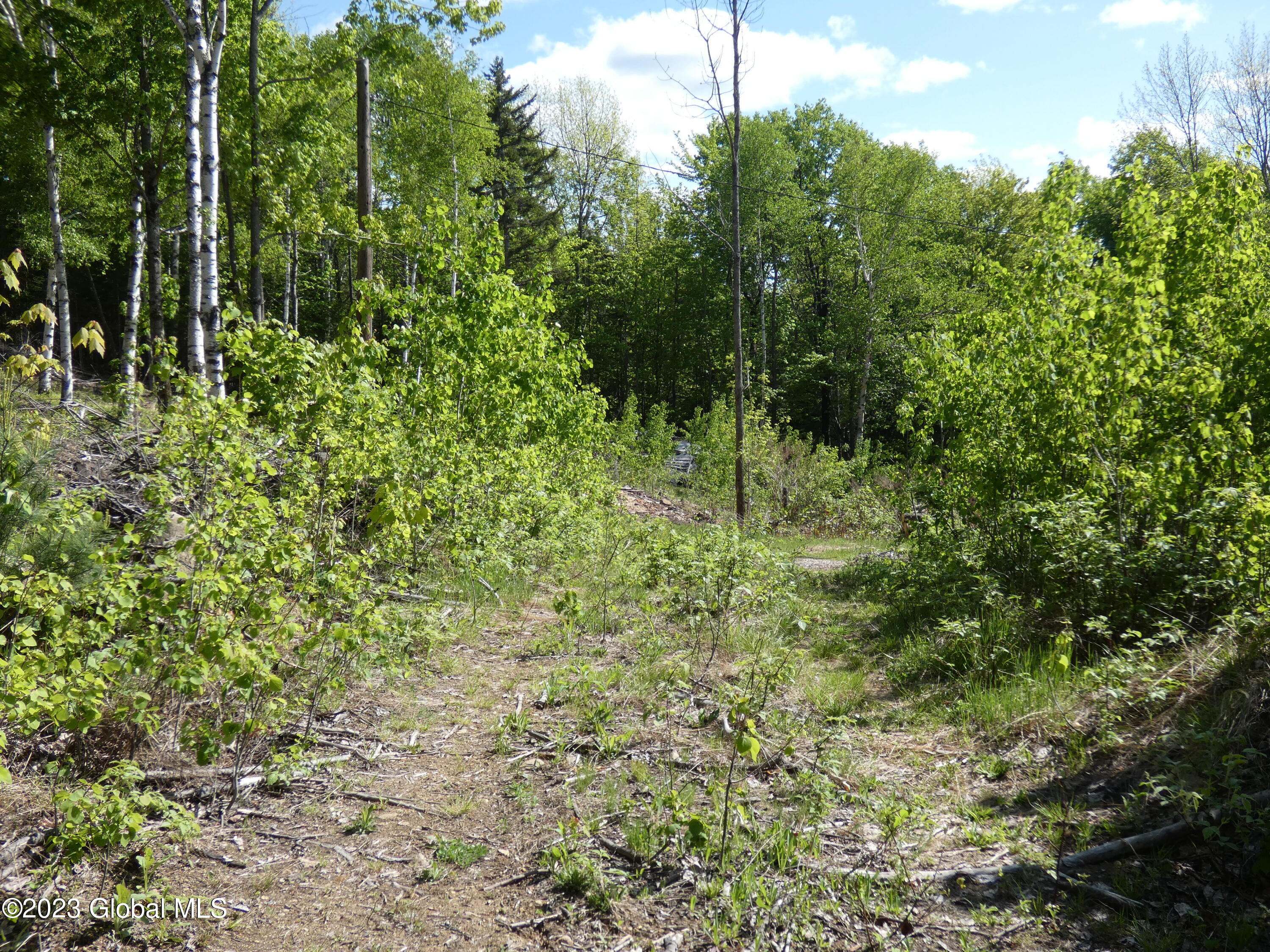 L40 Barney Hill Road Johnsburg, NY 12843 - Photo 9 of 9 P1020498