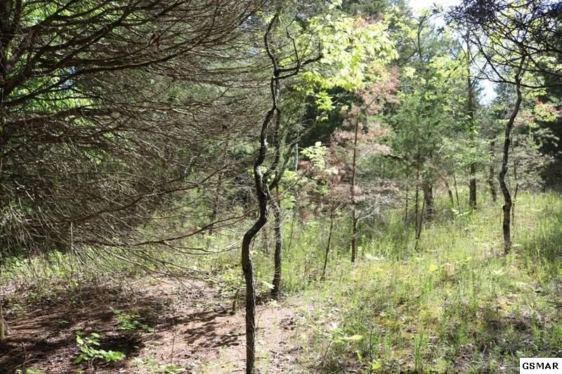 0 Lot 35 Buck Horn Road Sevierville, TN 37876 - Photo 20 of 30