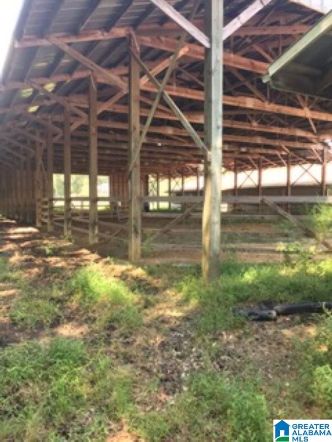 1957 Mineral Springs Road, Unit ACREAGE Pell City, AL 35125 - Photo 5 of 8