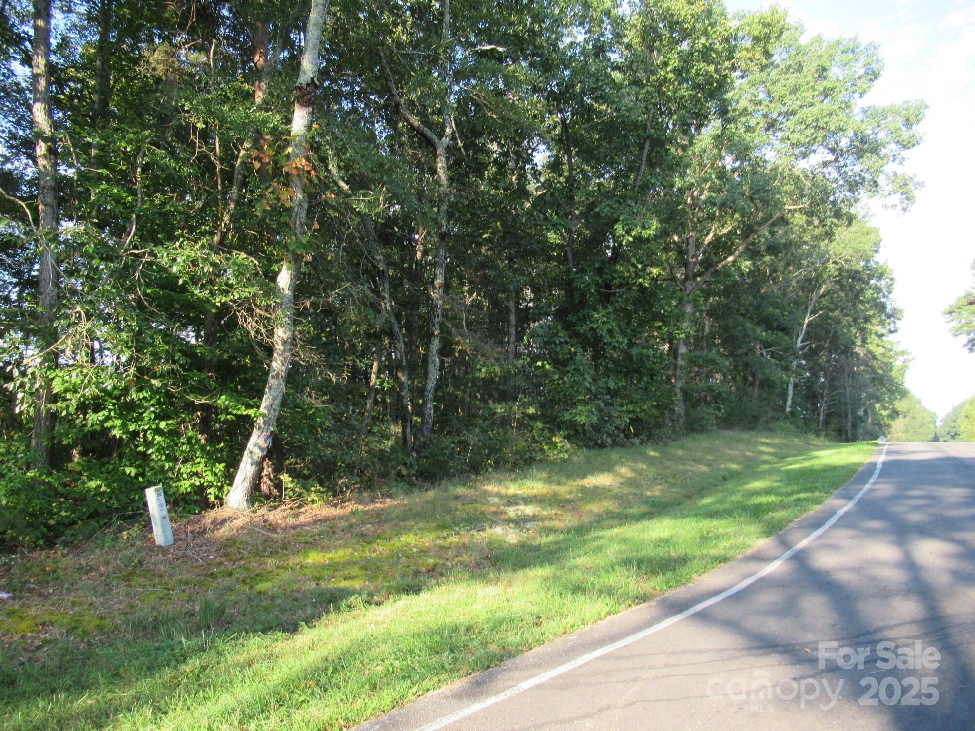 0 Pleasant Grove Church Road Apex, NC 27523 - Photo 6 of 6 Gallery Image 6