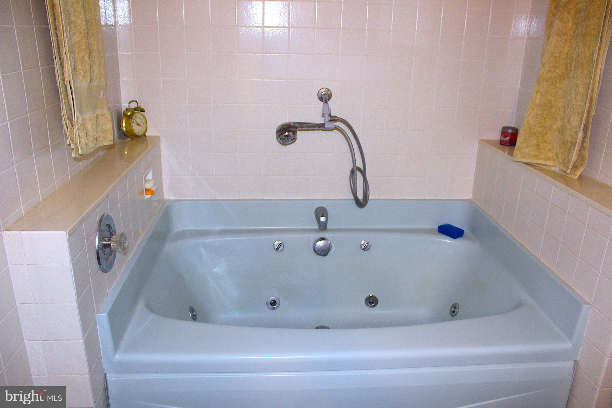 16601 York Road Monkton, MD 21111 - Photo 13 of 23 Jetted tub on main level
