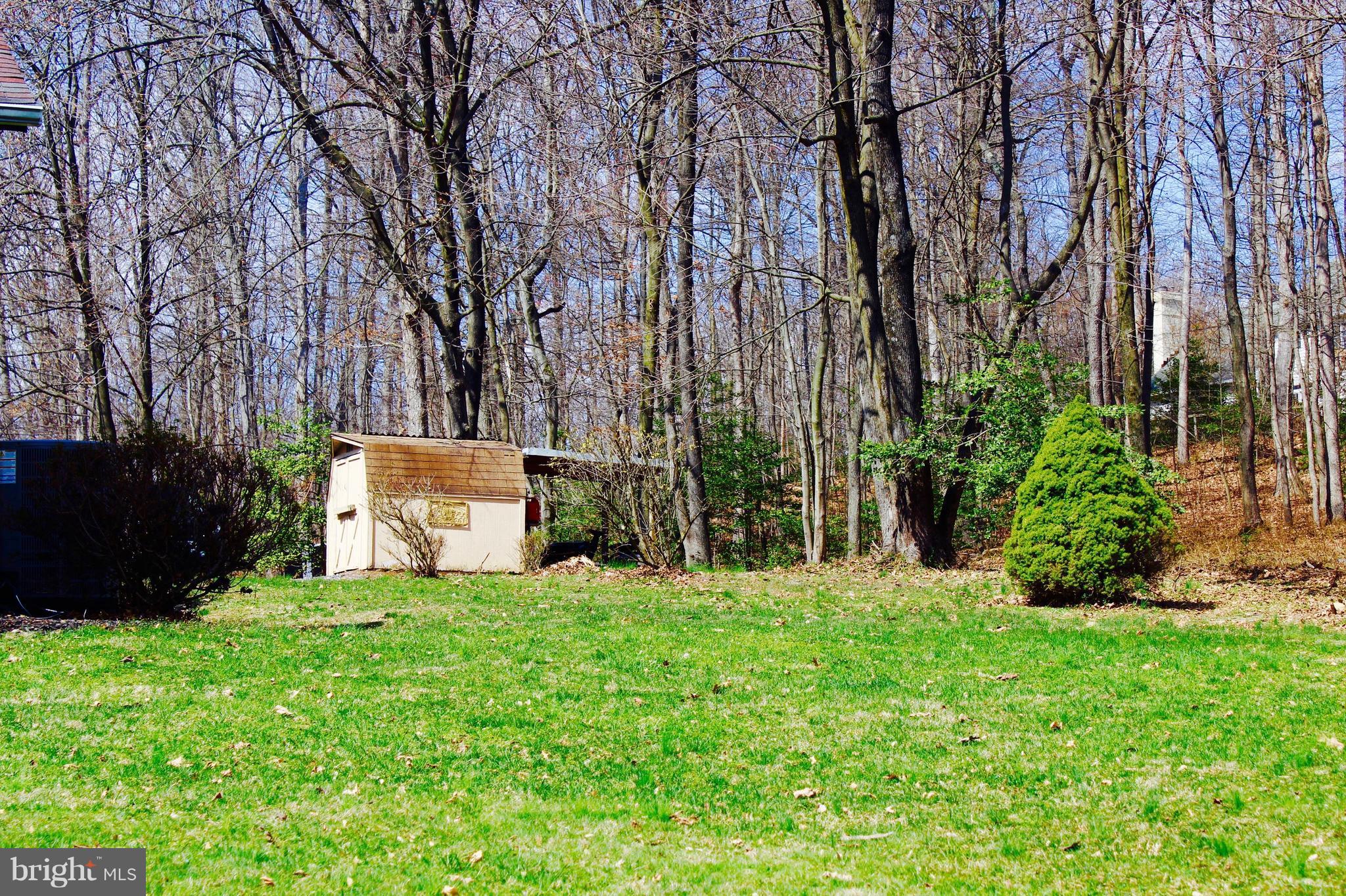 Large side yard with shed