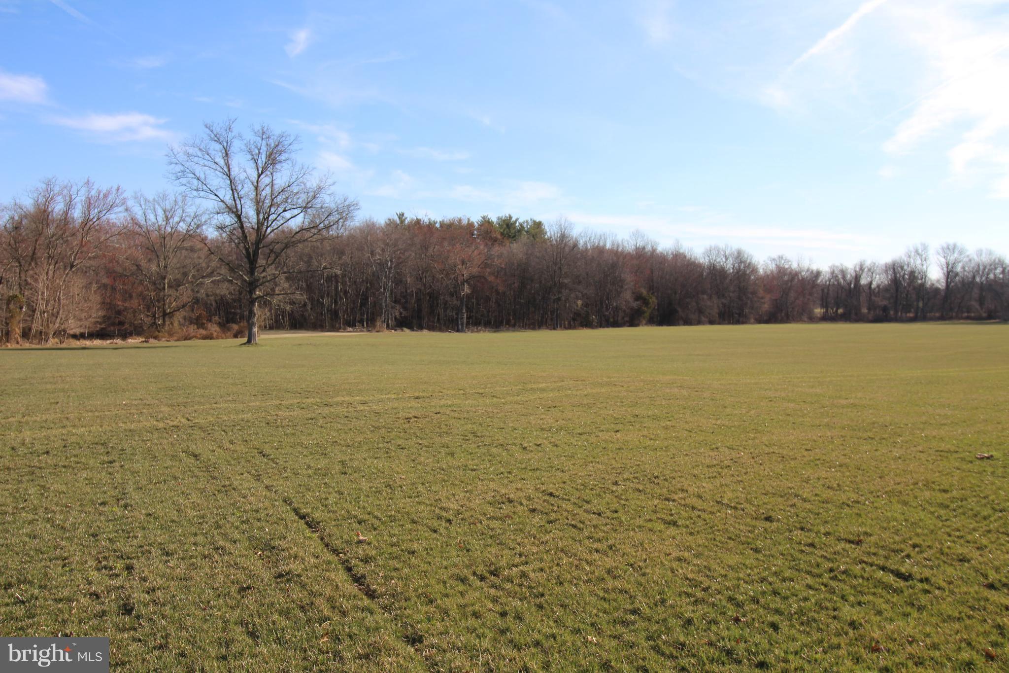 3731 Damascus Road Brookeville, MD 20833 - Photo 6 of 16 View
