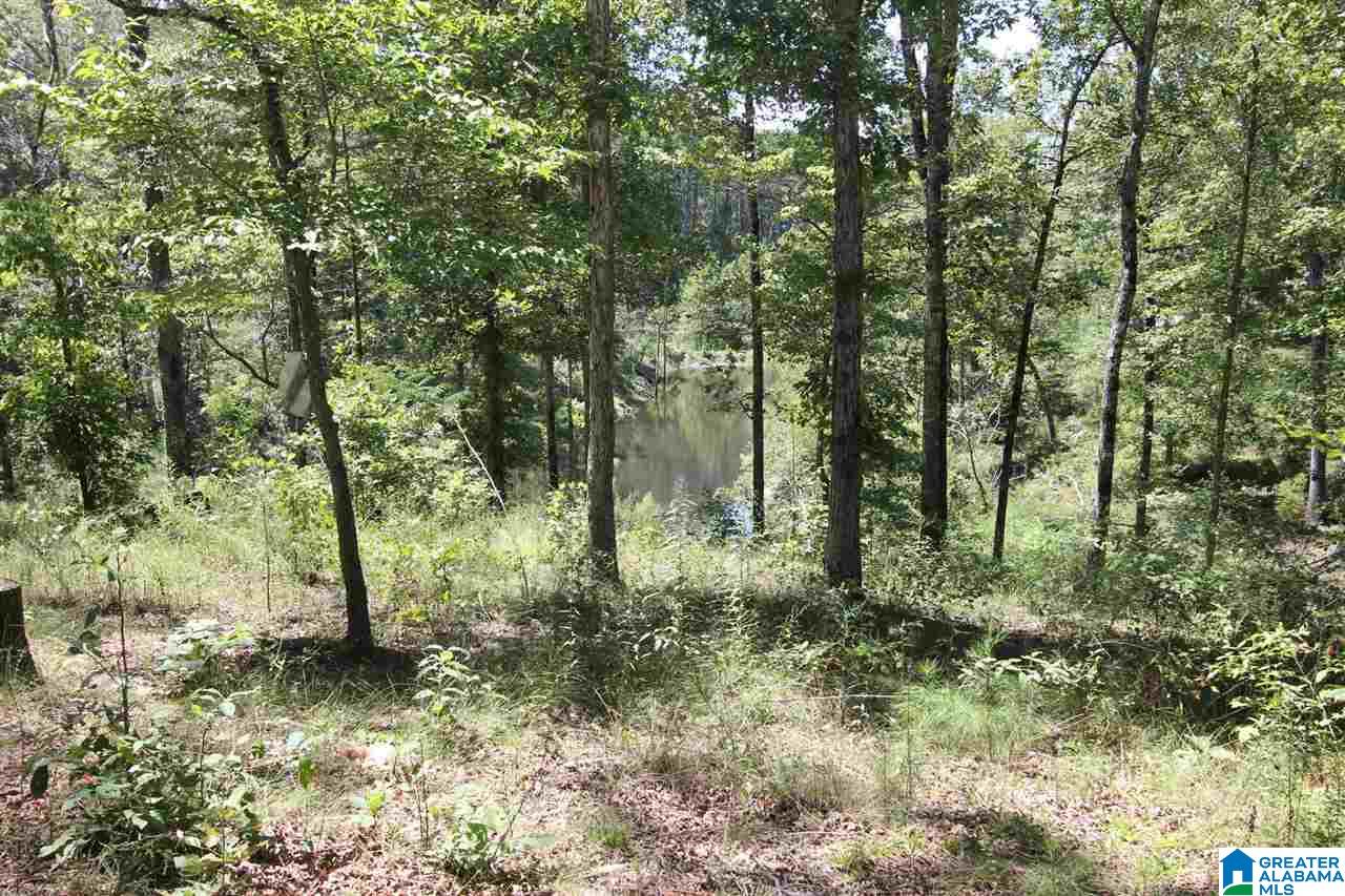 9347 Bishop Ridge West Blocton, AL 35184 - Photo 12 of 12