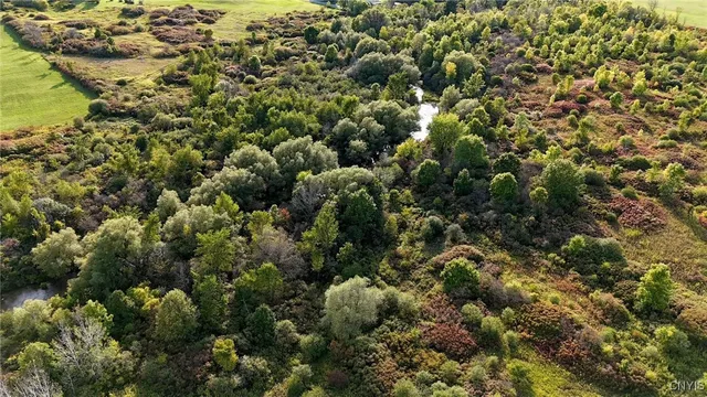 $175,000 | Us-11, Le Ray, NY 13637