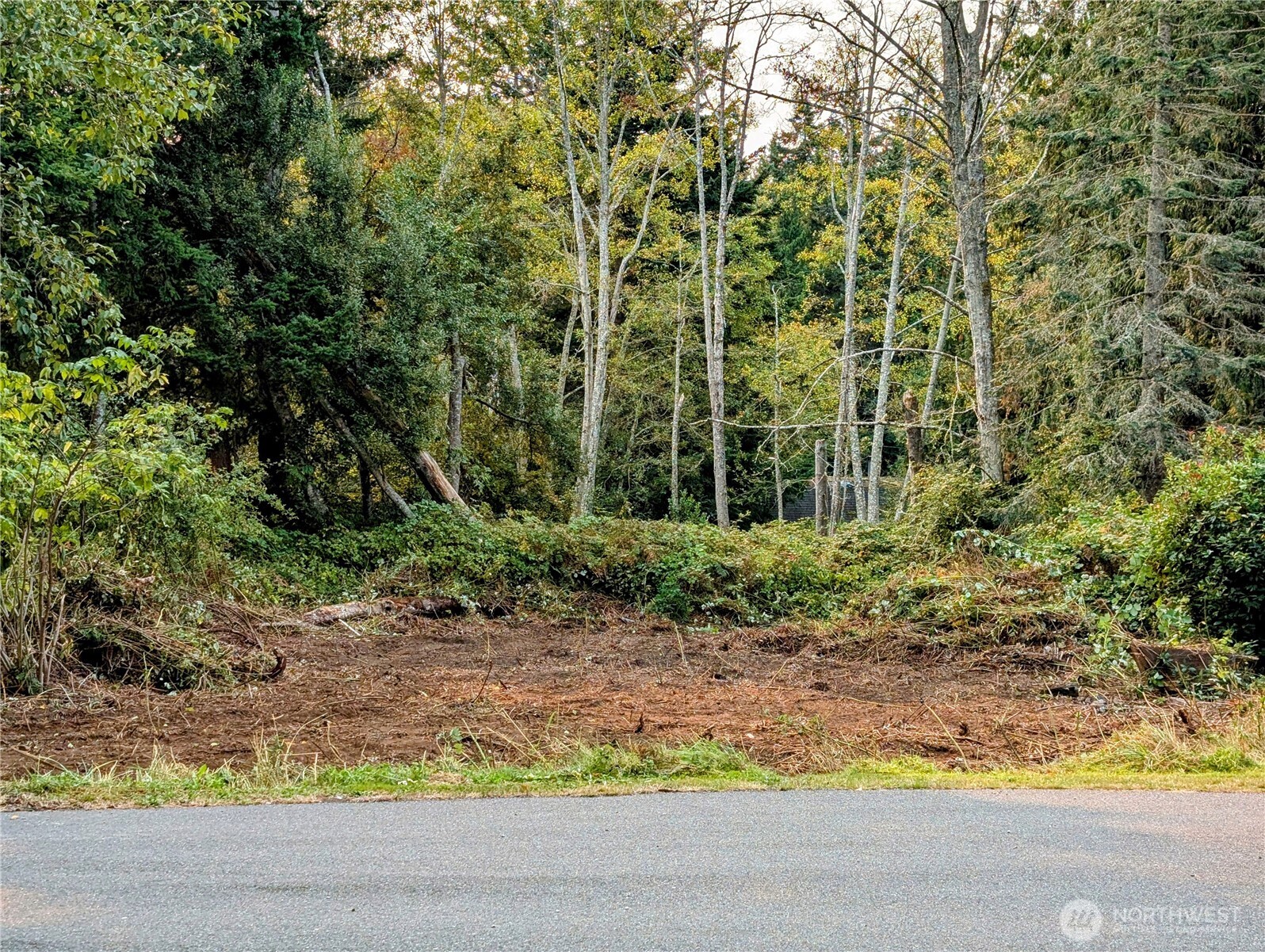 8 Heather Way Point Roberts, WA 98281 - Photo 4 of 15
