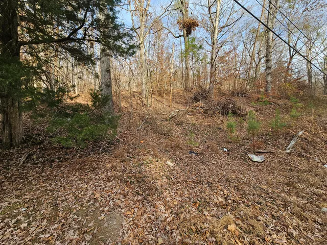 $15,000 | Lot 7 Smyrna Road, Evensville, TN 37332