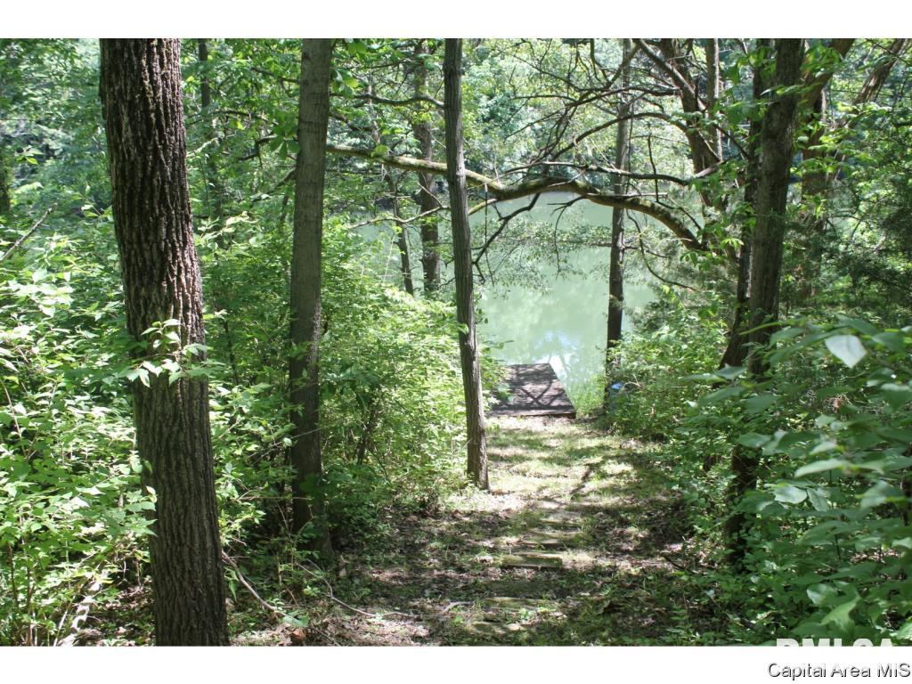 272 Big Valley Road Virginia, IL 62691 - Photo 8 of 19