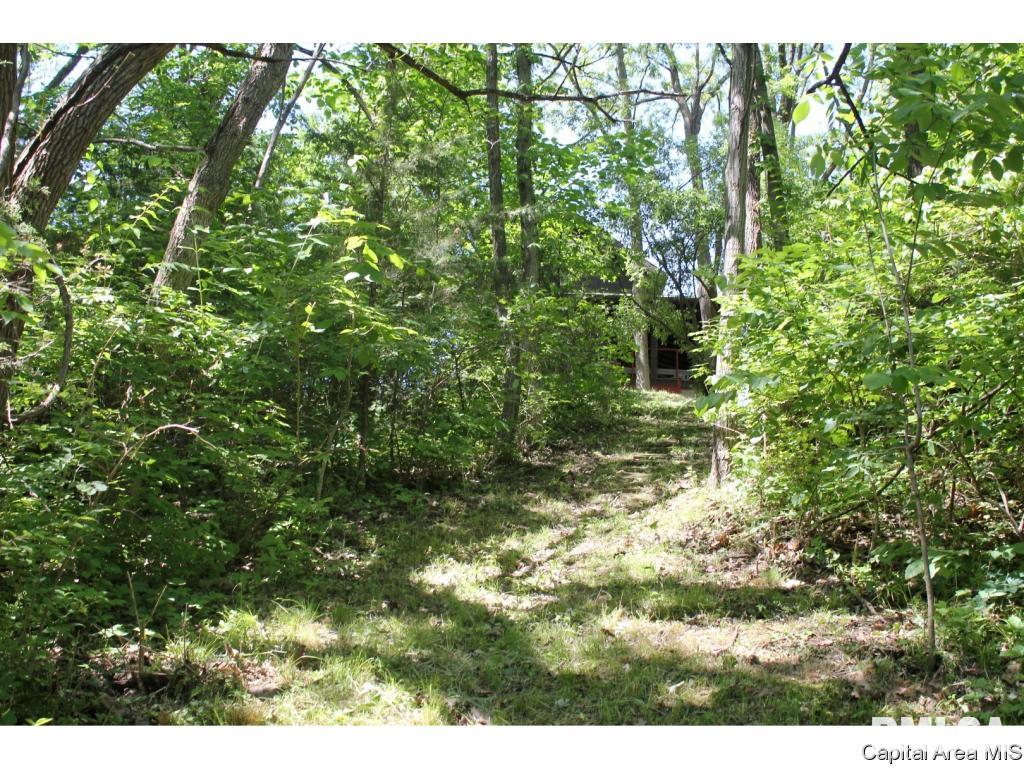 272 Big Valley Road Virginia, IL 62691 - Photo 9 of 19