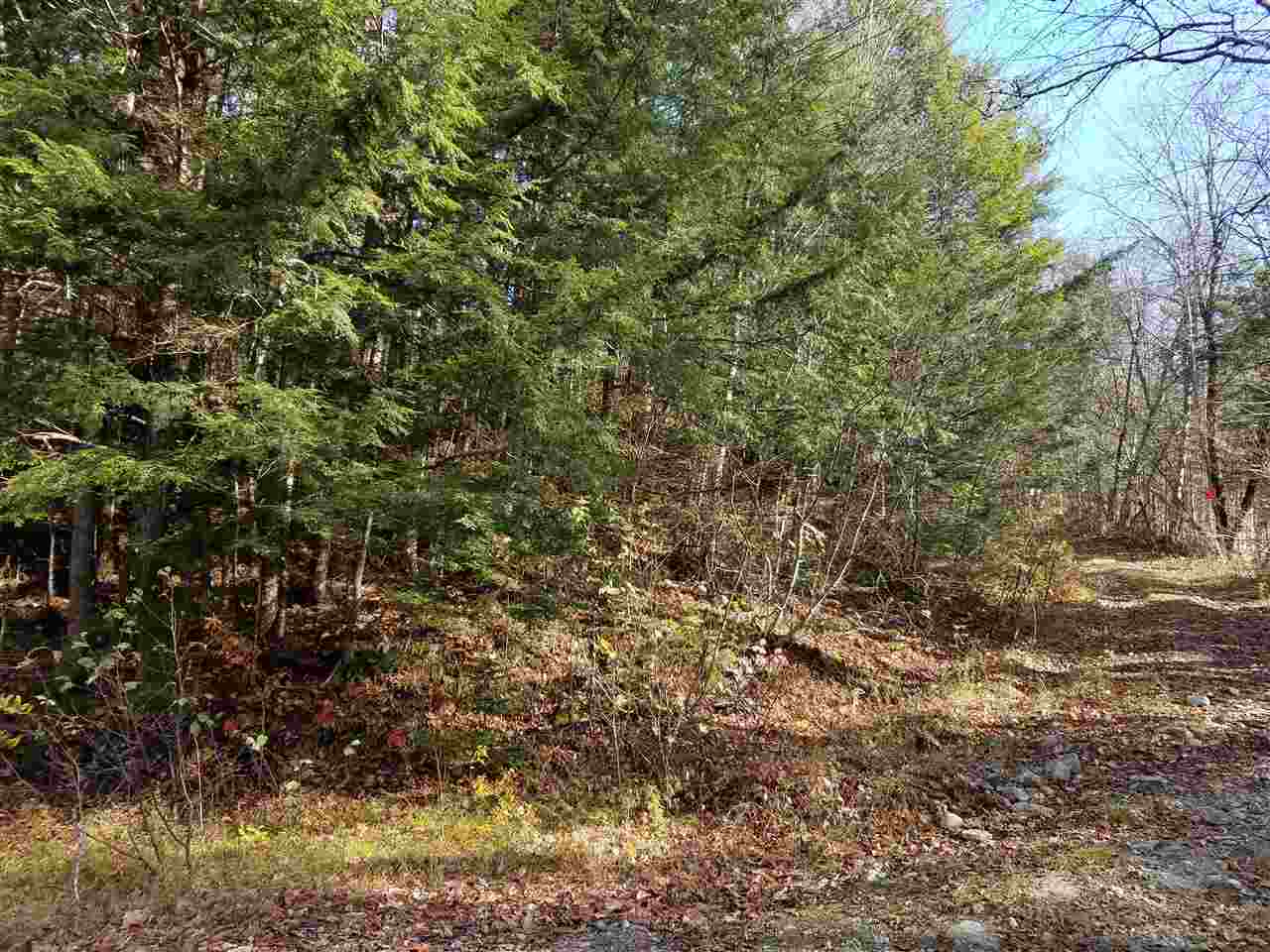 2.6 Halls Brook Road Rumney, NH 03266 - Photo 4 of 4
