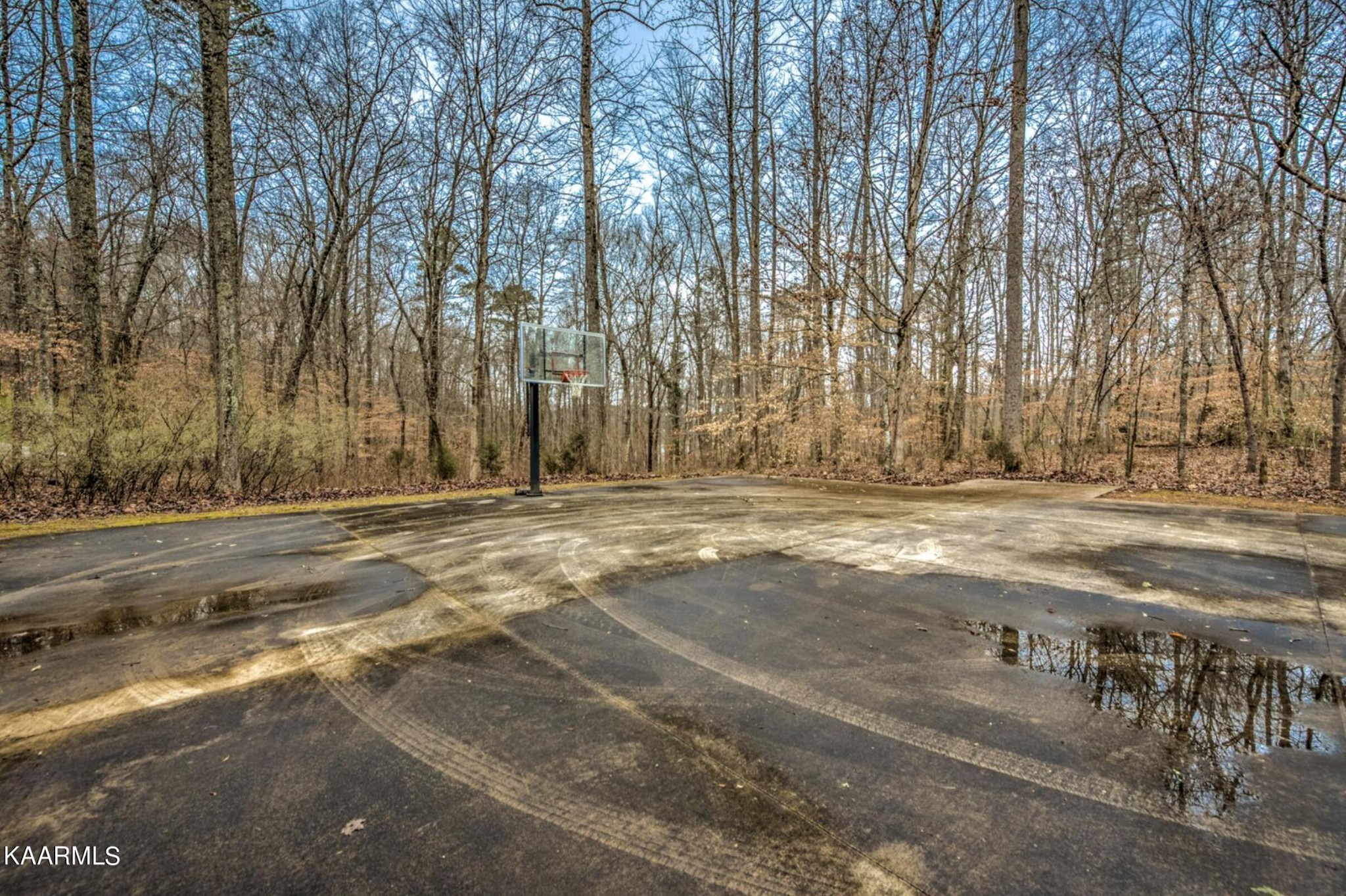 0 Sequoyah Road Andersonville, TN 37705 - Photo 13 of 16 Gallery Image 13