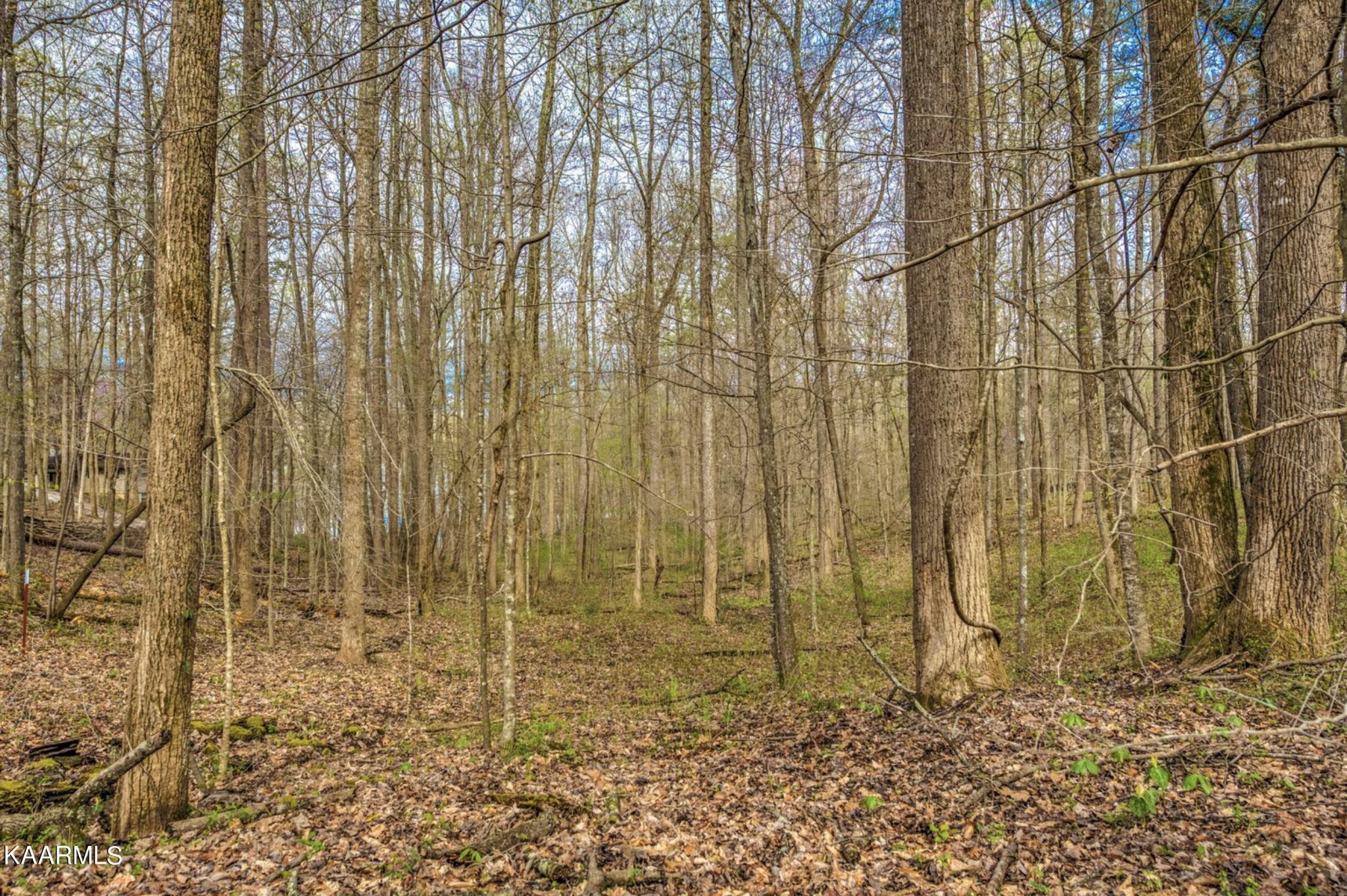 0 Sequoyah Road Andersonville, TN 37705 - Photo 9 of 16 Gallery Image 9