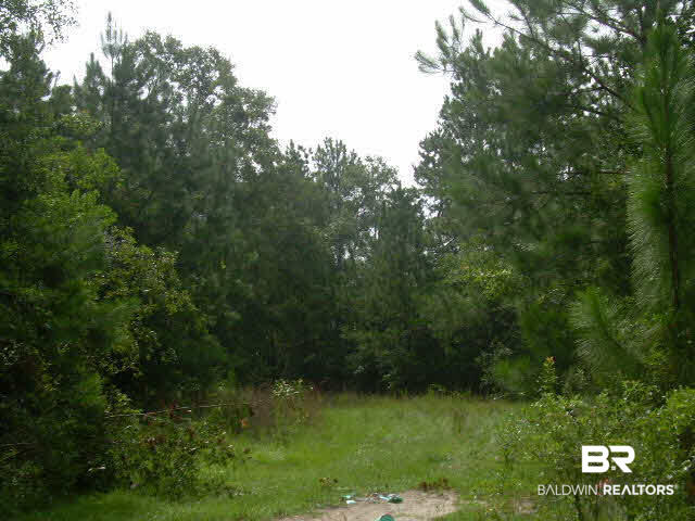 0 South East River Road Silverhill, AL 36576 - Photo 3 of 6