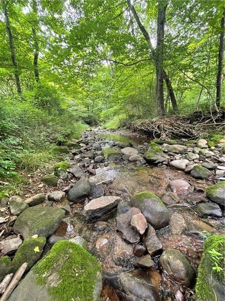 0 Greenlee Road Polk, PA 16342 - Photo 2 of 2